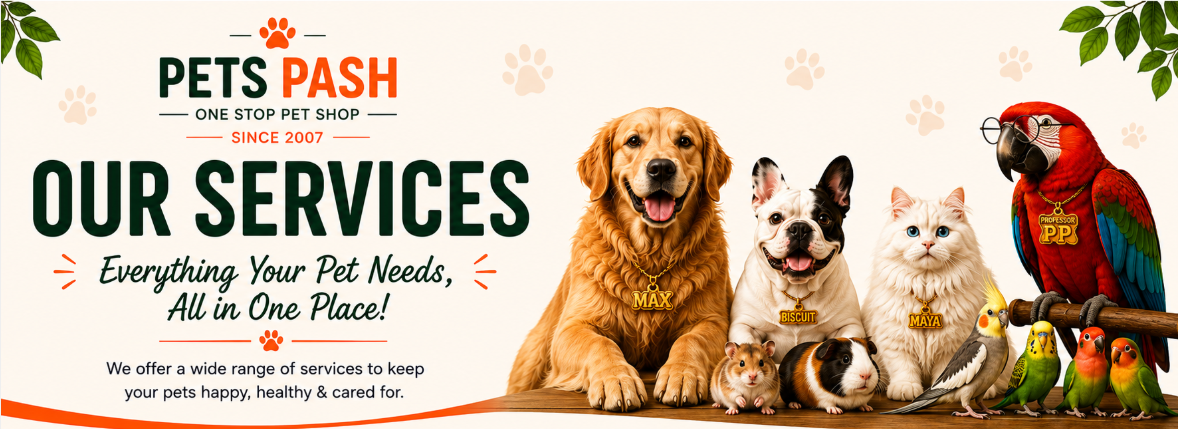 Our Services — Pets Pash
